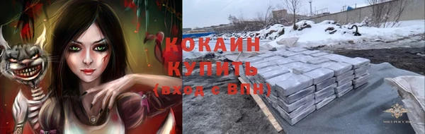 молекула духа Надым